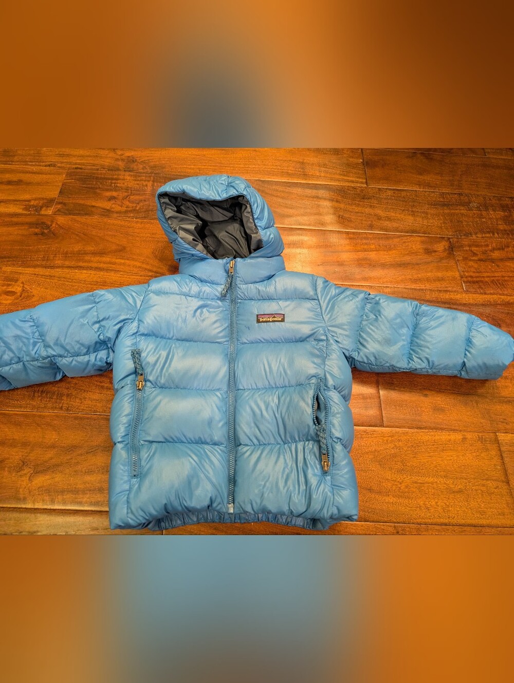 Patagonia Hi-Loft Down Sweater Hoody Jacket 3T